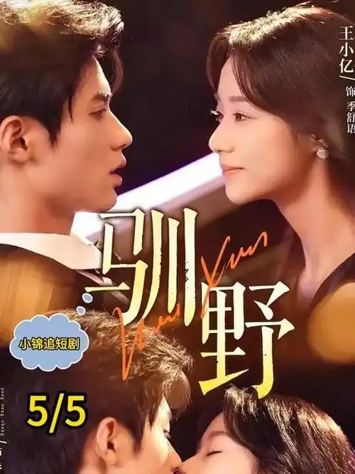 沉默的证词 悬疑短剧免费观看